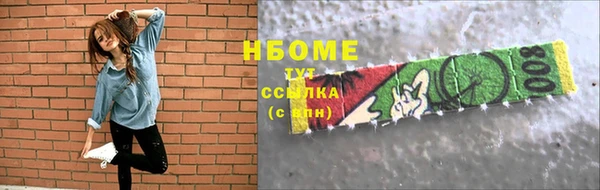 шишки Новодвинск
