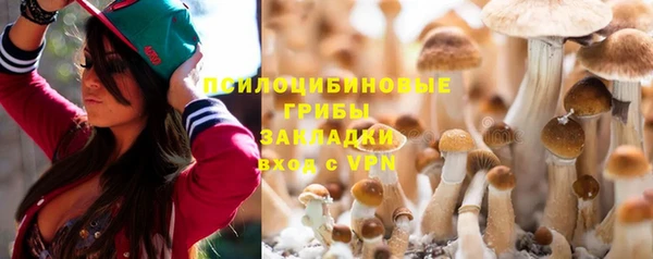 тгк Абинск