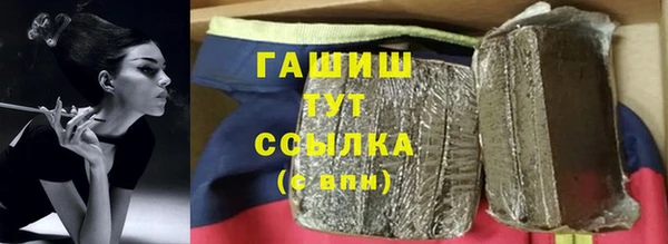 гидра Абаза
