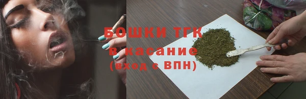 гидра Абаза
