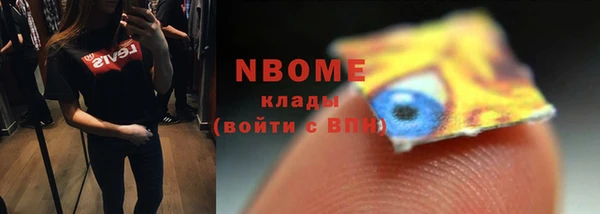 гидра Абаза