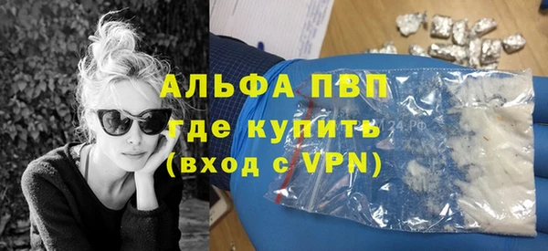гидра Абаза