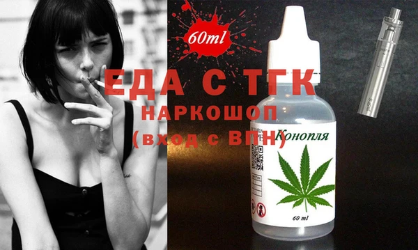 гидра Абаза