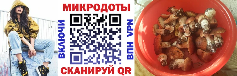 цена   Щучье  Галлюциногенные грибы ЛСД 